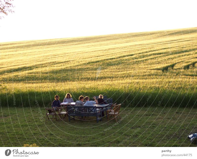 Ein Tisch vorm Kornfeld Frühstück Feld Sonne Rasen