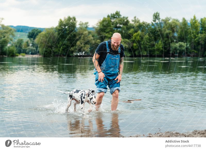 Mann steht im See und spielt mit Hund Glück spielen Welpe Wasser Zusammensein Natur Sommer Freund Deutsche Dogge Aktivität Haustier Spaß Besitzer Freude
