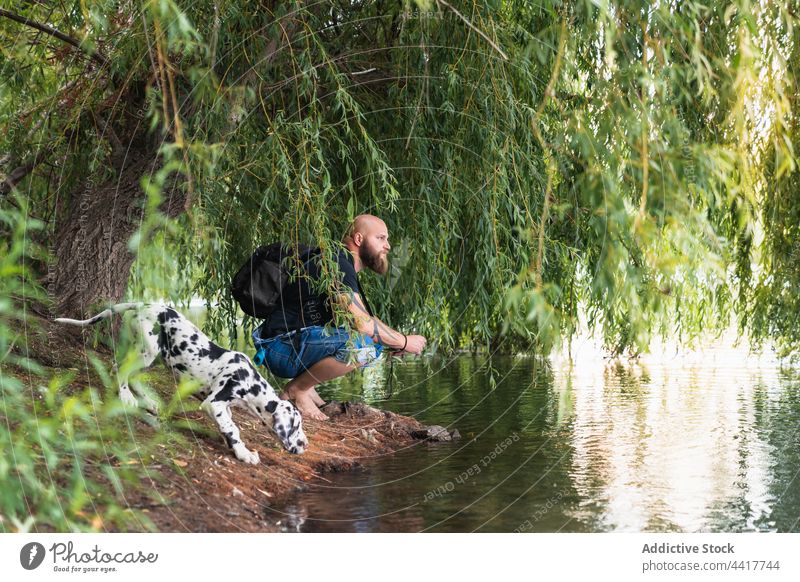 Mann und Hund am Flussufer unter einem Baum Natur Ufer Wasser Sommer Rucksack Vollbart erkunden männlich Welpe Deutsche Dogge lässig Freund Küste Tier grün
