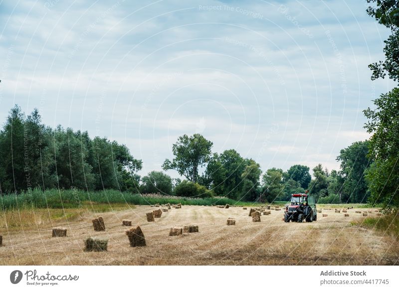 Traktor fährt durch ein Feld mit Heuhaufen Landschaft Ackerbau Natur Sommer Arbeit Laufwerk Baum Heugarben Bauernhof Fahrzeug ländlich kultivieren Ernte