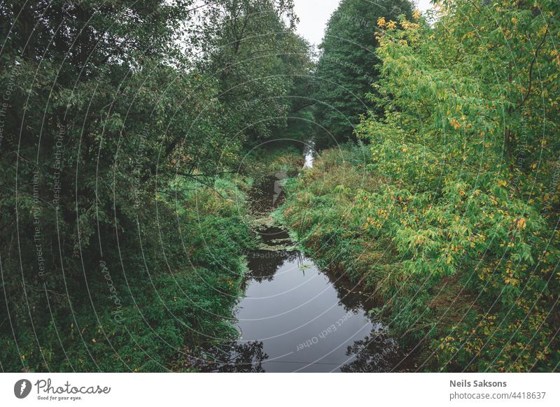 Kleiner Fluss in einem lettischen Wald, aufgenommen von einer Brücke. Das Wasser ist mit Wasserpflanzen bewachsen, viele Grüntöne und einige Gelbtöne. Frühherbst Landschaft, bewölkten grauen Himmel