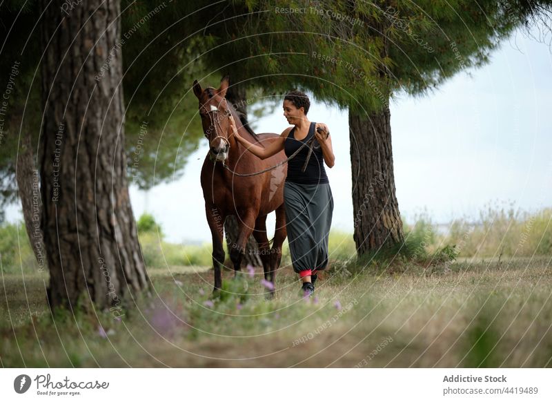 Glückliche Frau geht mit Pferd in der Natur spazieren Zusammensein Spaziergang Kraulen Landschaft Liebe pferdeähnlich Tier ethnisch Zaumzeug Reinrassig braun