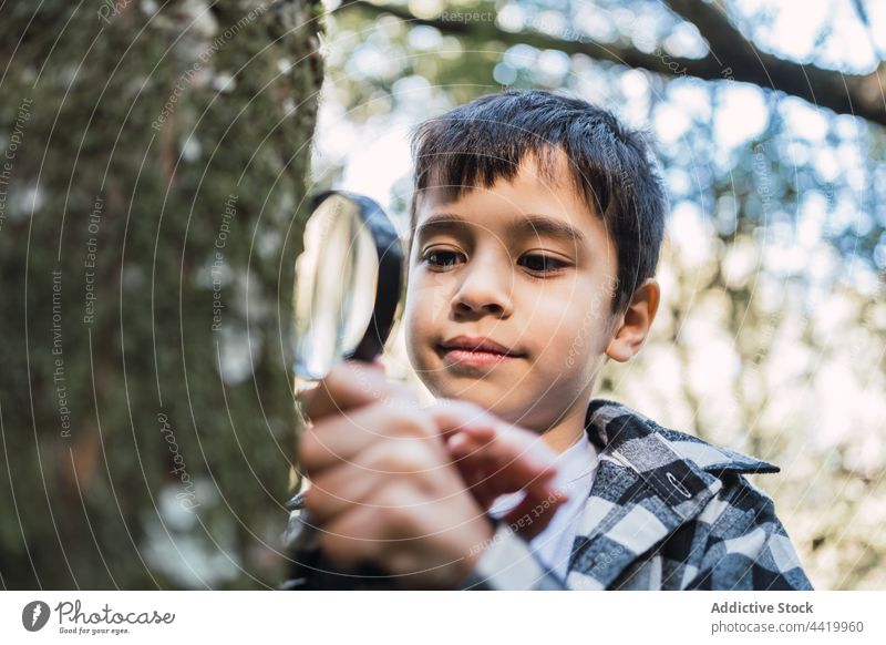 Neugieriger ethnischer Junge erforscht Baumstamm mit Lupe im Wald erkunden Kofferraum untersuchen Wissenschaft neugierig Wälder durchsehen Suche lernen finden