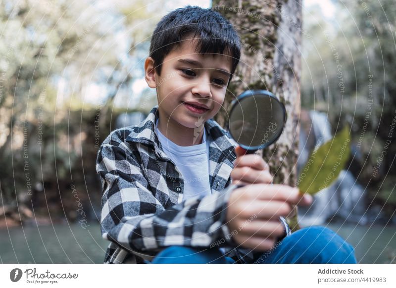 Junge mit Blatt, der im Wald durch eine Lupe schaut erkunden untersuchen finden forschen Wissenschaft Zoom Kindheit Wälder durchsehen Suche lernen achtsam Fokus