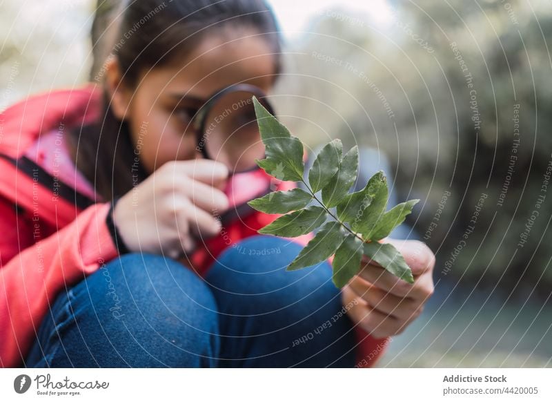 Mädchen mit Blatt, das im Wald durch eine Lupe schaut erkunden untersuchen finden forschen Wissenschaft Zoom Kindheit Wälder durchsehen Suche lernen achtsam