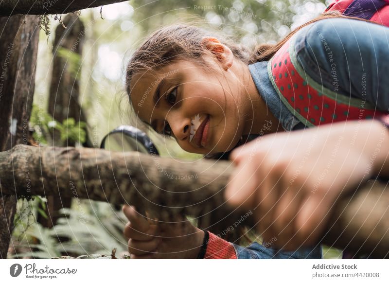 Ethnisches Mädchen mit Lupe untersucht Baumstamm im Wald Kofferraum lernen untersuchen erkunden Suche finden Wanderung achtsam Kind Rinde Pflanze Fokus