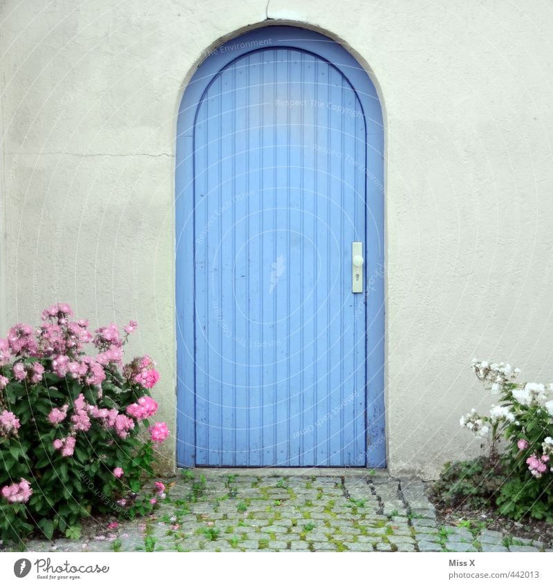 Blaue Tür Haus Mauer Wand Fassade blau geschlossen Tor Eingang Blume Topfpflanze Gartenweg Farbfoto mehrfarbig Menschenleer