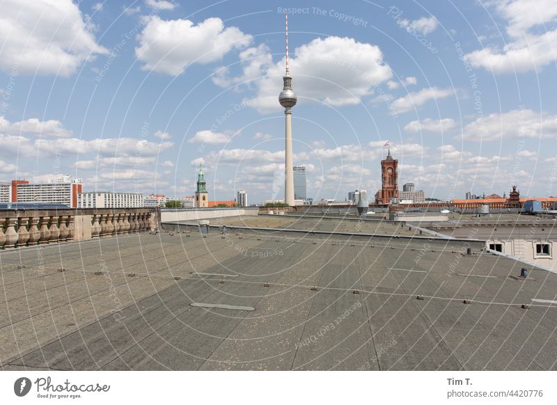 auf einem Dach in Berlin mit Blick zum Fernsehturm Berliner Fernsehturm Wahrzeichen Stadt Alexanderplatz Hauptstadt Himmel Turm Sehenswürdigkeit Berlin-Mitte