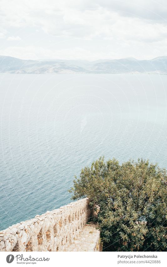 Eine Mauer, auf der ein Busch wächst, mit dem Mittelmeer im Hintergrund mediterran MEER Griechenland Landschaft Meereslandschaft Wand Buchse Baum