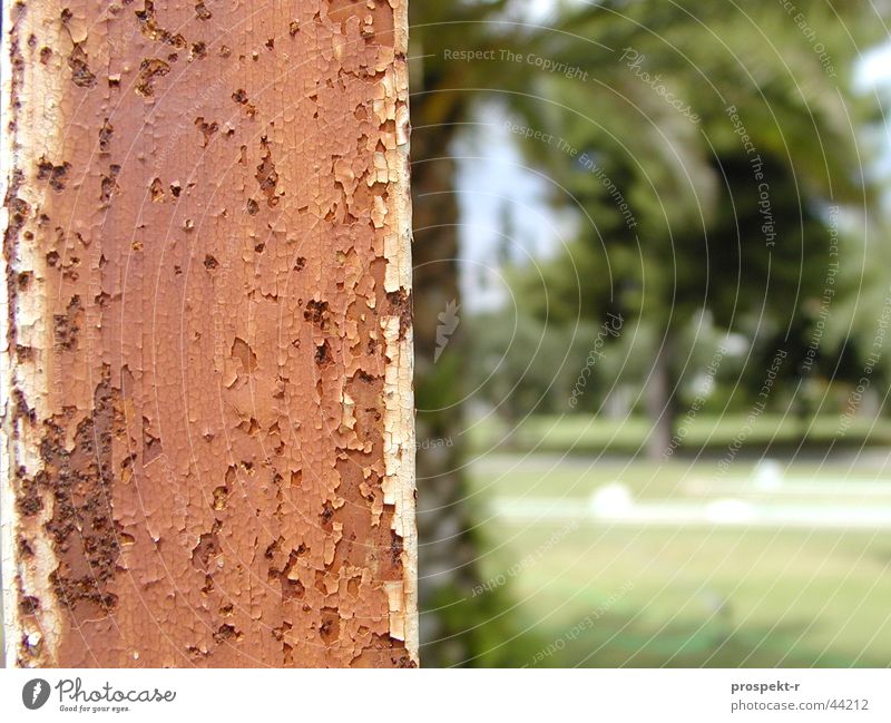 Rost Palme grün braun Minigolf Laternenpfahl Flutlicht Skelett Europa Resort Makroaufnahme