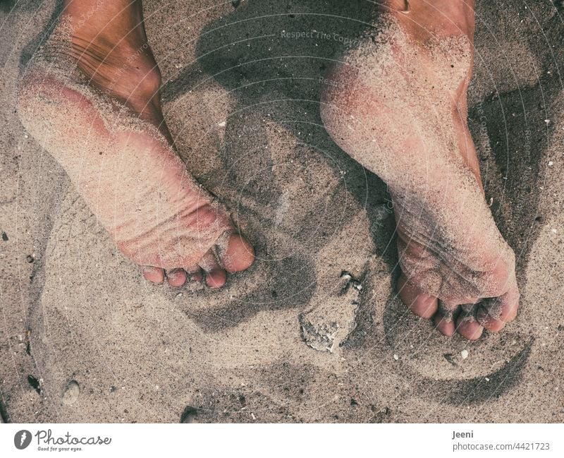 Lieber die Füße - nicht den Kopf - in den Sand stecken Fuß Zehen Barfuß Sommer Erholung Mensch Mann männlich Haut nackt Meer Strand sandig FKK Küste