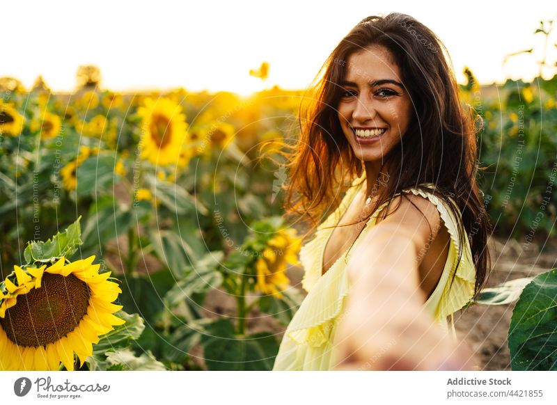 Glückliche junge Frau im Sonnenblumenfeld mir folgen gelb Sommer Feld Blume Kleid Natur einladen hispanisch ethnisch romantisch Landschaft Blütezeit frisch