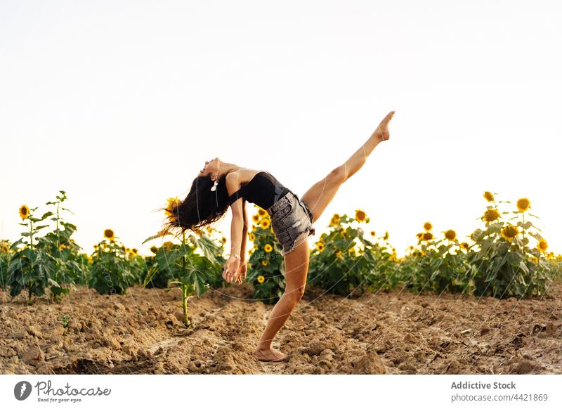 Flexible Frau tanzt im Feld Sonnenblume Tanzen beweglich Natur Sommer sorgenfrei Freiheit Harmonie Anmut jung Landschaft Stil Barfuß genießen brünett Erholung