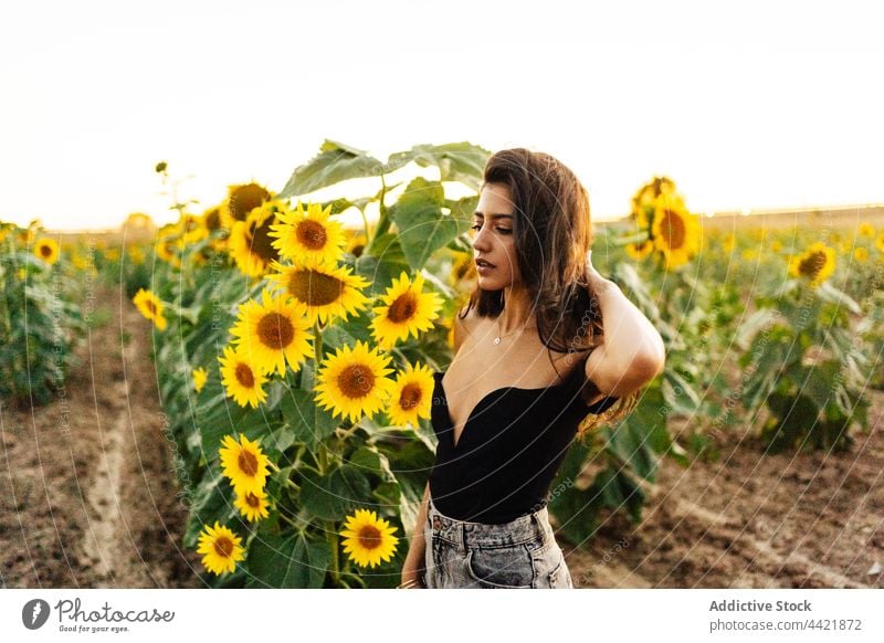 Junge Frau mit Sonnenblume in sommerlicher Natur Sommer gelb Blume Stil Landschaft Anmut Blütezeit nackte Schultern Feld jung hispanisch romantisch Umwelt