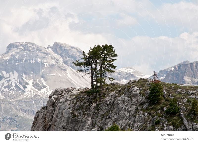 Gruppenkuscheln aufm Fels Umwelt Natur Landschaft Wolken Klima Schönes Wetter Pflanze Baum Hügel Felsen Alpen Berge u. Gebirge Gipfel Schneebedeckte Gipfel