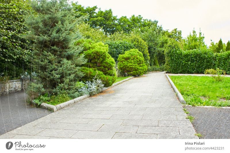 Geschmückter Garten mit Weg im Sommerpark. Hintergrund schön Überstrahlung Blühend Buchse abschließen Kopie Tag Dublin leer Europa Feld Fußweg Wald frisch