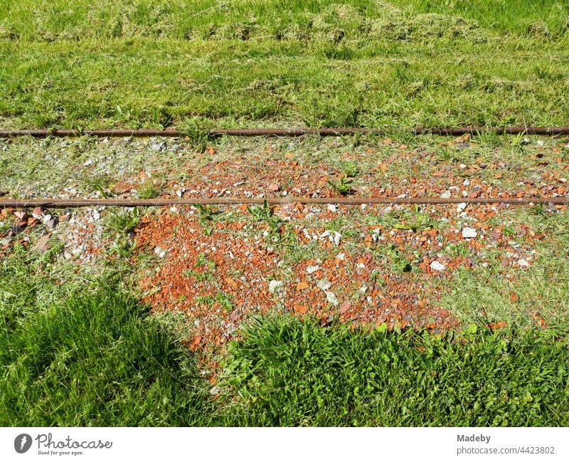 Rostige Gleise einer alten Schmalspurbahn durch das grüne Gras im Sommer bei Sonnenschein in der Alten Ziegelei in Lage bei Detmold in Ostwestfalen-Lippe