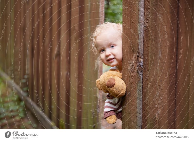 Ein kleines Mädchen mit lockigen Haaren schaut aus einem Loch im Holzzaun heraus. Hält einen Teddybären in der Hand. Weißes Kleid. Ein Sommertag. Zaun spielen