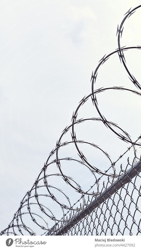 Stacheldrahtzaun gegen den Himmel, selektiver Fokus. mit Stacheln versehen Draht Rasierer Zaun Gefängnis Verbrechen Konzept Einsperrung Inhaftierung