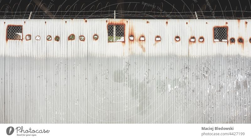 Gewellte Stahlwand mit Stacheldraht, farblich getönt. Wand Grunge gewellt Hintergrund industriell Tapete Zaun Konzept Schutz Sicherheit Borte verboten Gefahr