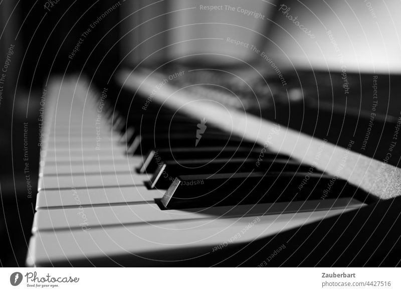 Tastaturtasten seitlich in Schwarz-Weiß in Perspektive mit Unschärfe Keyboard fummeln schwarz-weiß Musik Musikinstrument Tasteninstrumente Detailaufnahme
