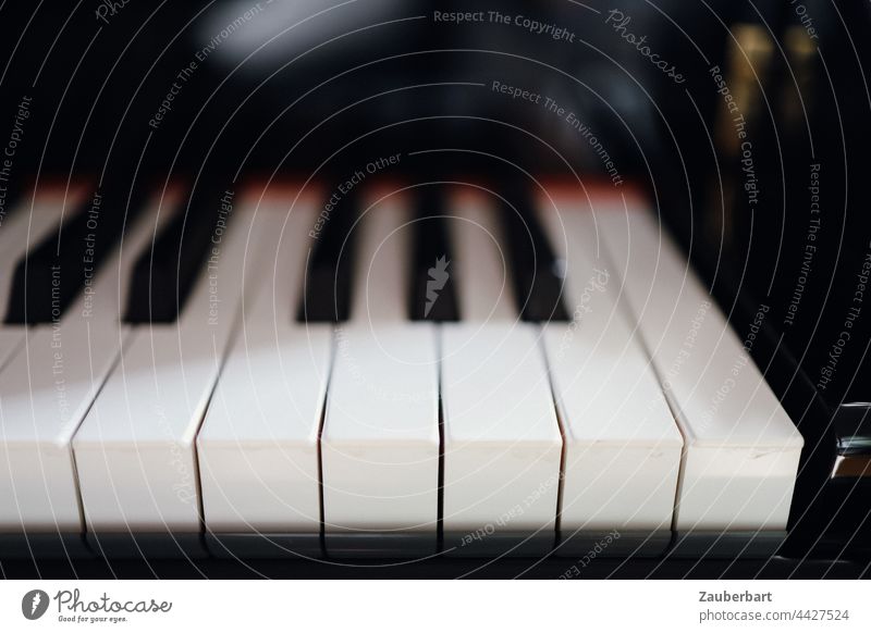 Tasten eines Klaviers, obere Oktave, als Detailaufnahme, mit Unschärfe Flügel schwarz weiss Töne Musik Klang spielen Tasteninstrumente Musikinstrument