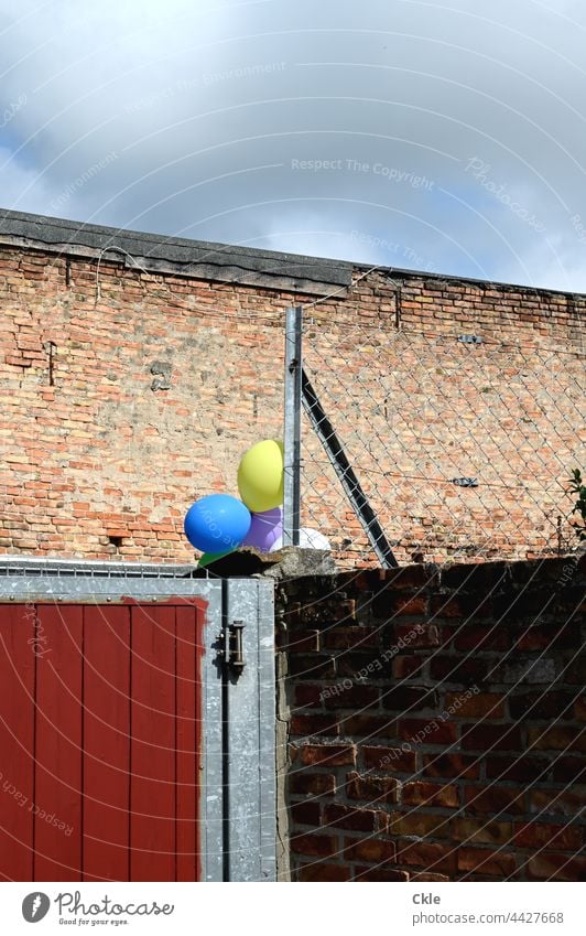 Tor und Zaun und Mauer mit Luftballons Mauerwerk Metall Sicherheit abgeschlossen Schutz Strukturen & Formen Gitter Barriere Hinterhof Metallzaun Sperrgebiet