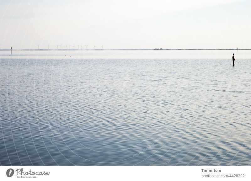 Blick auf das Wasser eines Fjordes Wellen ruhig Besinnung Land in Sicht Windräder Dänemark Natur Ferien & Urlaub & Reisen Menschenleer ästhetisch Küste Horizont