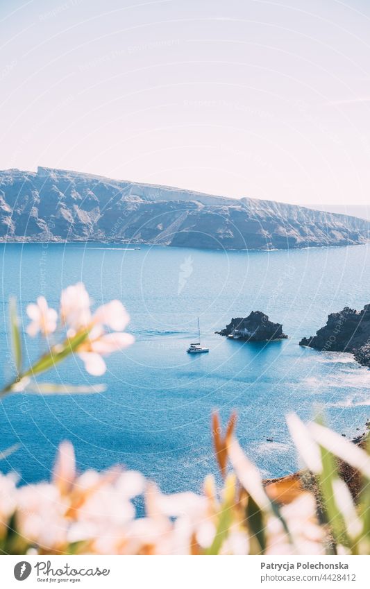 Segelboot auf dem Mittelmeer bei der Insel Santorin in Griechenland, weiße Blumen im Vordergrund blau MEER mediterran Wasser Sommer Freizeit