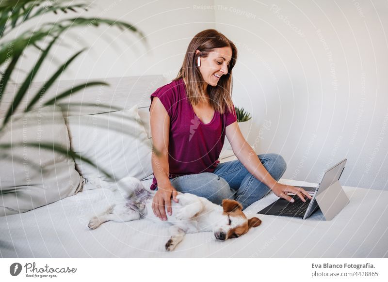 lächelnde kaukasische Frau zu Hause arbeiten am Laptop und Handy, während niedliche Jack Russell Hund ruht auf dem Bett während der Tageszeit. Home-Office, Haustiere, Liebe und Entspannung