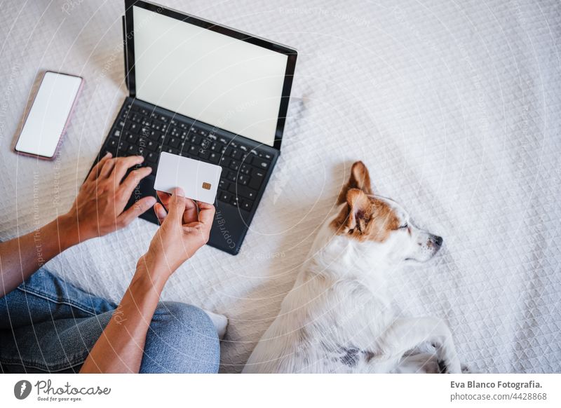 Ansicht von oben unerkennbar Frau tut Online-Shopping mit Kreditkarte und Laptop. Cute kleinen Jack Russell Hund schlafen auf bed.technology und Business-Konzept