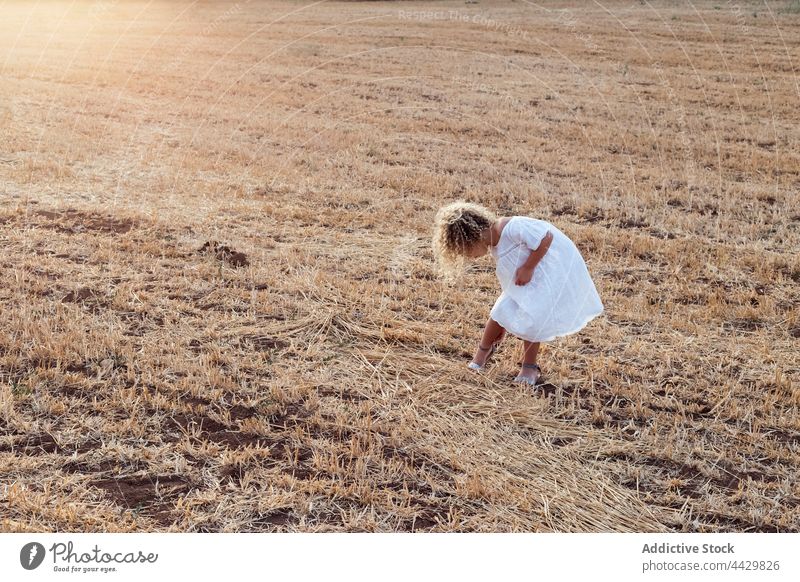 Kleines blondes Mädchen allein auf einem Feld an einem sonnigen Tag Kind Kindheit Glück Sommer Natur Spaß Menschen jung Freude Wiese heiter Person im Freien