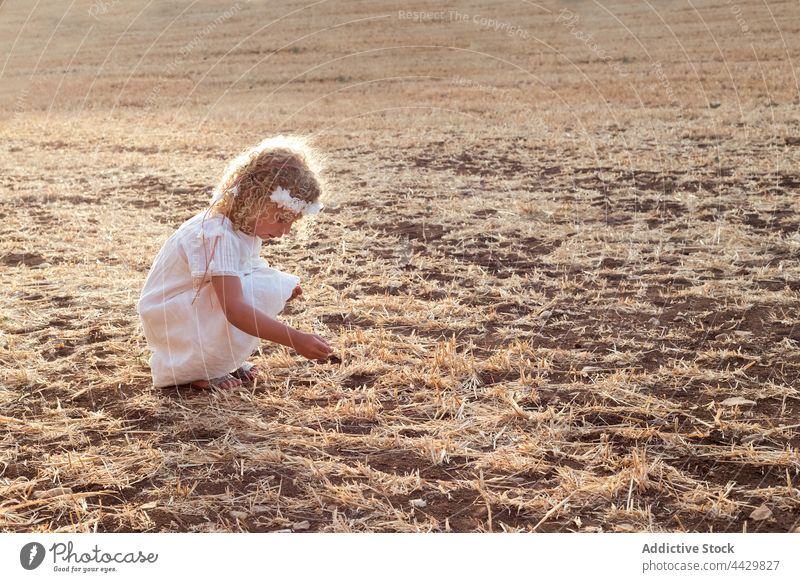 Kleines blondes Mädchen allein auf einem Feld an einem sonnigen Tag Kind Kindheit Glück Sommer Natur Spaß Menschen jung Freude Wiese heiter Person im Freien