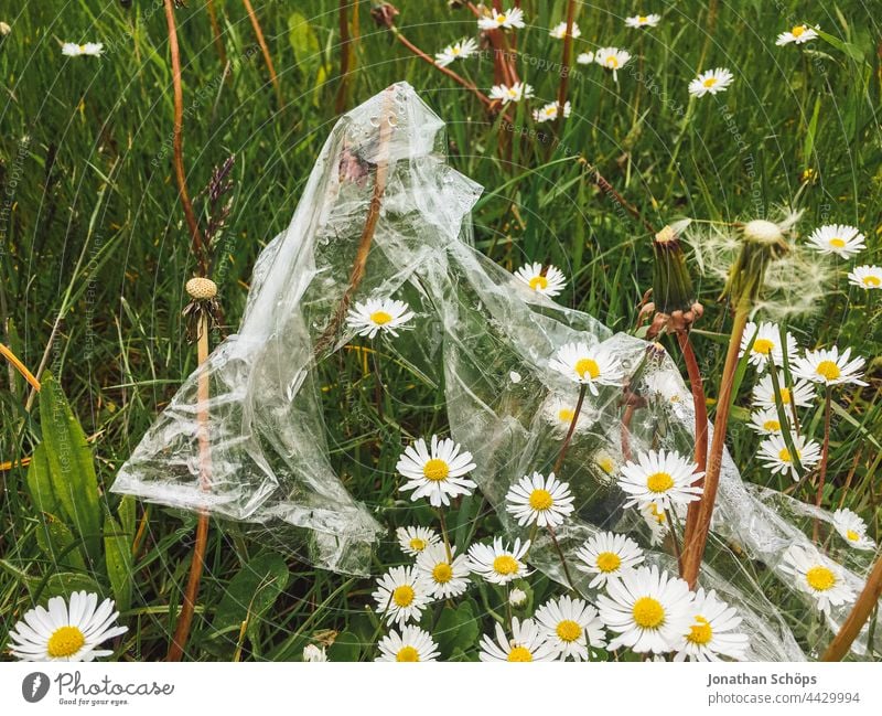 Umweltschmutzung auf der Wiese Müll egoistisch Plastik Plastiktüte Plastikfolie Blume grün Gras draußen natur Umweltverschmutzung Kunststoff Recycling