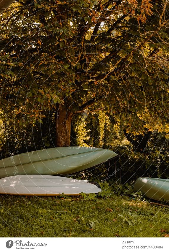 Canadier bzw Boote am Campingplatz camping reise canadier kanadier boote natur grün sonne sommer sonnenlicht wiese lagerung trocknen sport freizeit wassersport