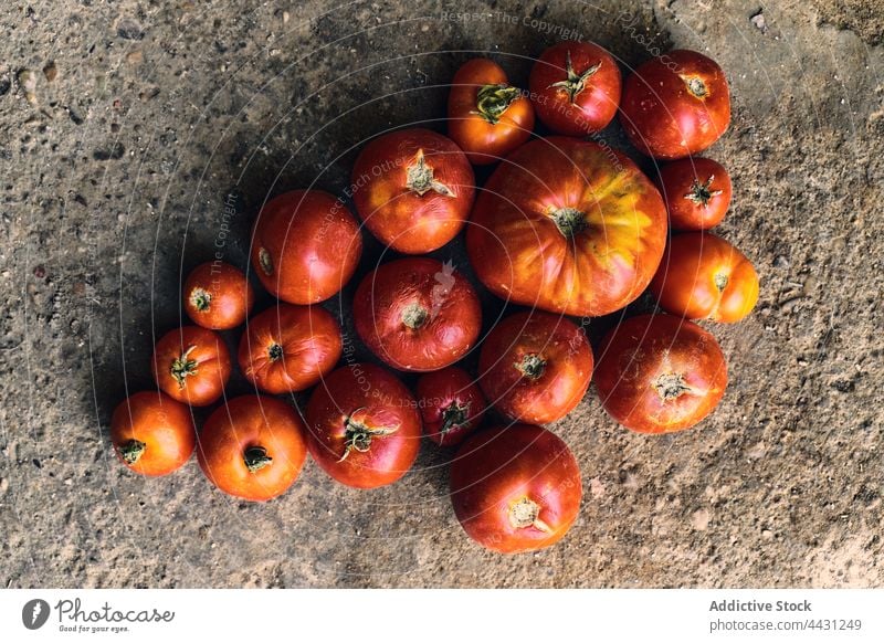 Nahaufnahme eines Stapels roter Tomaten auf dem Boden Pflanze Ackerbau Land Natur Gemüse Feld organisch Wachstum Bauernhof Lebensmittel Garten Saison wachsend
