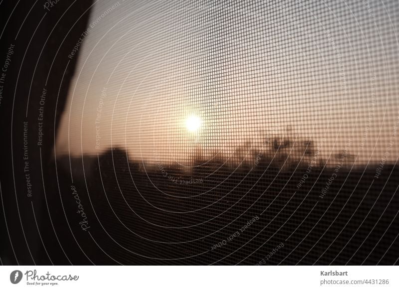 Fliegengitter im Sonnenuntergang Mückenplage Mückenschutz Stechmücke Schnake Vorsorge Sommer Farbfoto Natur Detailaufnahme Umwelt Insekt Menschenleer Fenster