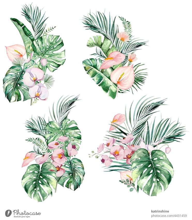 Aquarell rosa tropische Blätter und Blumen Sträuße isoliert Illustration Zeichnung Element exotisch handgezeichnet vereinzelt Ornament gemalt Kulisse Skizze