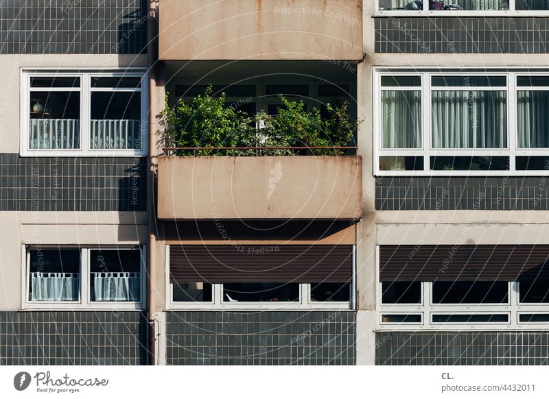 oase wohnen Pflanzen urban Haus Fenster Balkon Architektur Wohnung Oase Balkonien Balkondekoration Balkonpflanze grün