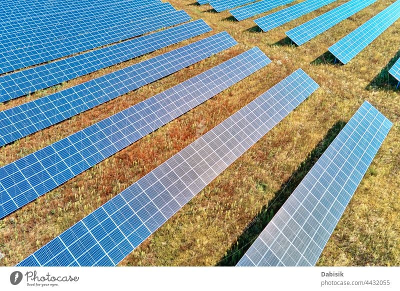 Sonnenkollektoren auf dem Feld solar Panel Batterie Bauernhof Energie Kraft alternativ nachhaltig regenerativ Pflanze Photovoltaik Ökosystem umgebungsbedingt