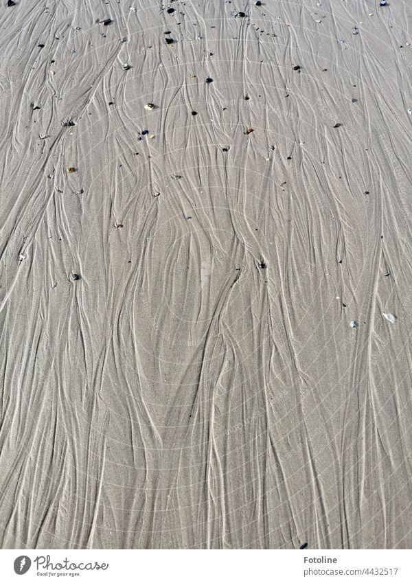 Steinchen in Prielen sehen aus, wie ein Schmuckstück. Kieselsteine Vielfalt grau Nahaufnahme Sand Menschenleer Farbfoto Außenaufnahme Muster Detailaufnahme