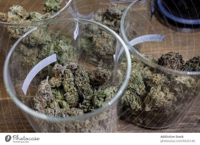 Getrocknete Cannabisblütenknospen in Gläsern geblümt Blütenknospen Marihuana cbd ganja Cannabinoid Cannabinol thcp Unkraut mary jane getrocknet natürlich