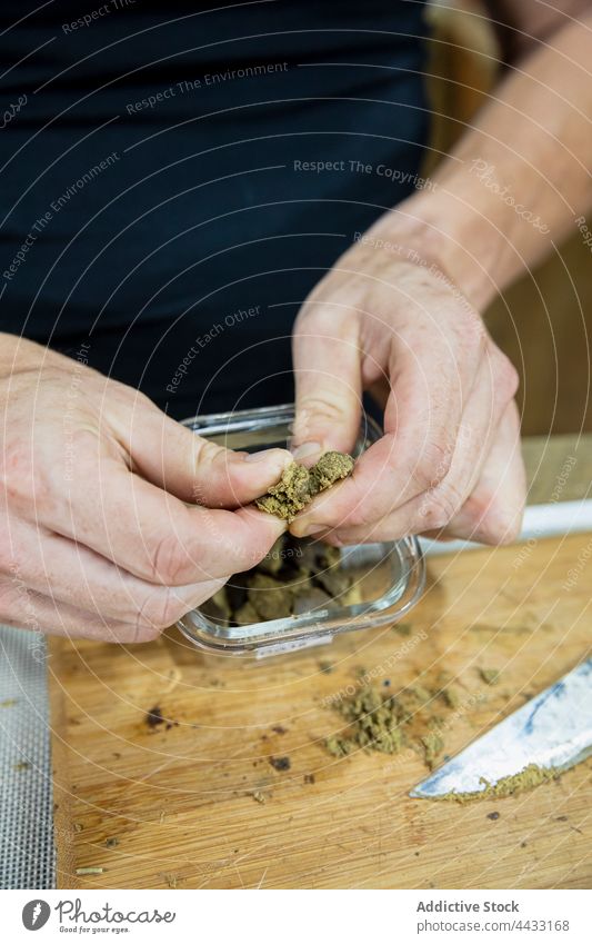 Erntehelfer zerkleinert trockenes Hanfpflanzenstück Mann Marihuana erdrücken Pflanze Cannabis natürlich organisch getrocknet Wittern Arbeitsbereich Kraut cbd