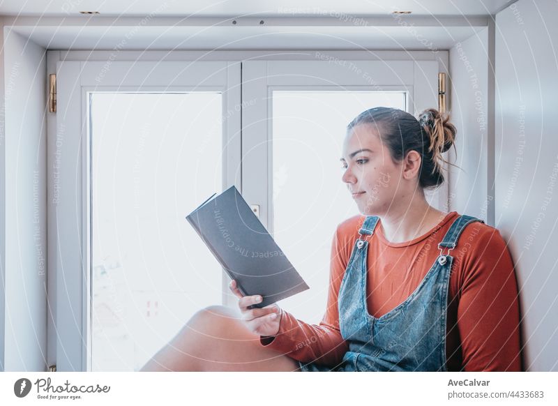 Junge Frau, die an einem hellen Tag am Fenster sitzt und ein Buch liest, Konzepte für Reflexion und Selbstfürsorge, Kopierraum lesen aussruhen Appartement