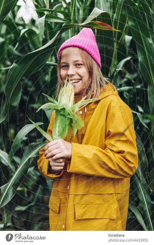 Stylisches Teenager-Mädchen in gelbem Regenmantel und heißem rosa Hut lachend auf einem Maisfeld Herbst Kind Kornfeld Verschlussdeckel Umhang Lachen Lifestyle