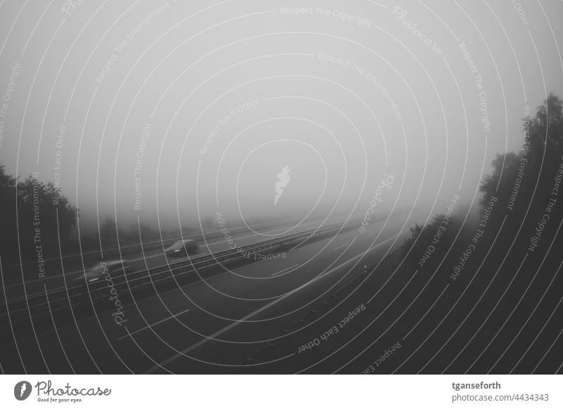 Autobahn im Nebel Straße Landschaft Asphalt Verkehr reisen Nebelstimmung Nebelwand morgens Morgennebel Morgenstimmung Menschenleer Außenaufnahme ruhig Idylle