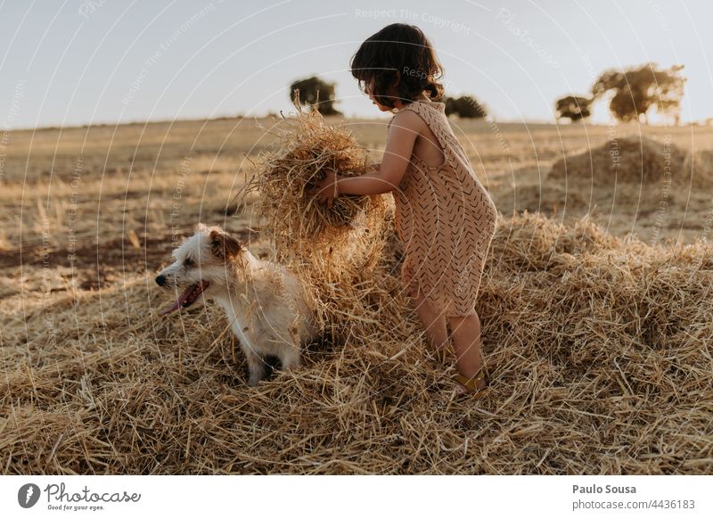 Nettes Mädchen spielt mit Hund auf dem Feld Kind Kindheit 1-3 Jahre Kaukasier authentisch Haustier Zusammensein Zusammengehörigkeitsgefühl Farbfoto Fröhlichkeit