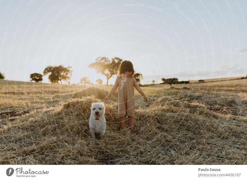 Nettes Mädchen spielt mit Hund auf dem Feld Kind niedlich authentisch Sommer Haustier Glück Farbfoto Tier Zusammensein Freundschaft Lifestyle Außenaufnahme