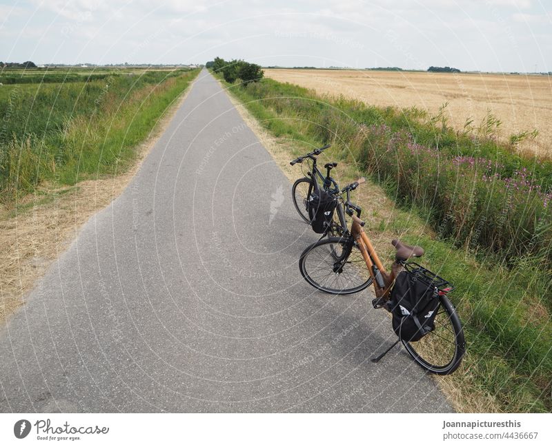 Fahrradtour Tour im Freien Urlaub Erholung Landschaft Bereiche ländlich leere Straße Beton Horizont endlos Perspektive Sport vor