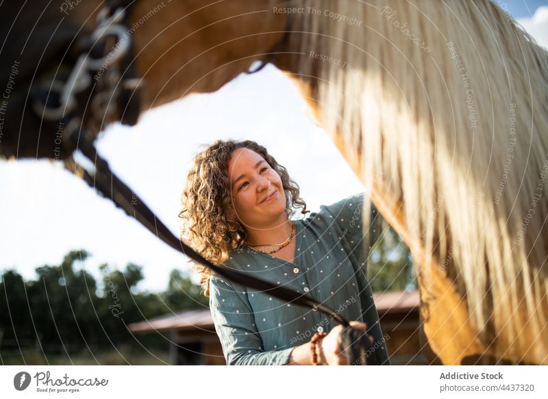 Lächelnde Frau streichelt Pferd Schnauze im Sonnenschein Streicheln Hengst Maul pferdeähnlich Tier Fauna Viehbestand Landschaft Inhalt Reitschule Säugetier
